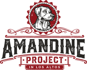 Amandine Project
